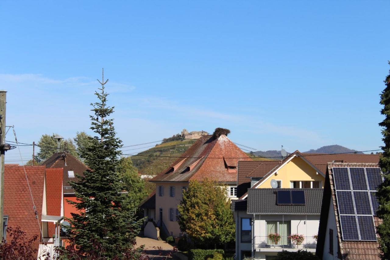 Ferienwohnung Im Weingewoelbe Staufen im Breisgau Exterior foto